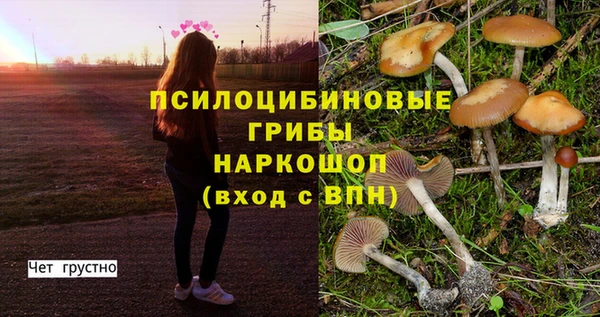 прущая мука Киренск